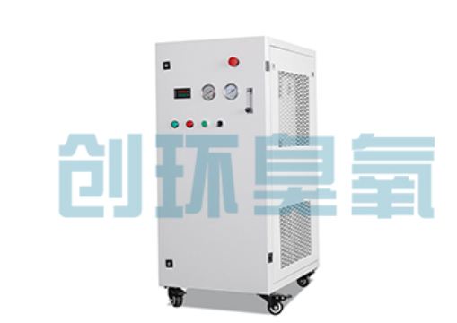 云南石斑鱼养殖水质调控完整指南:臭氧发生器配置与操作步骤