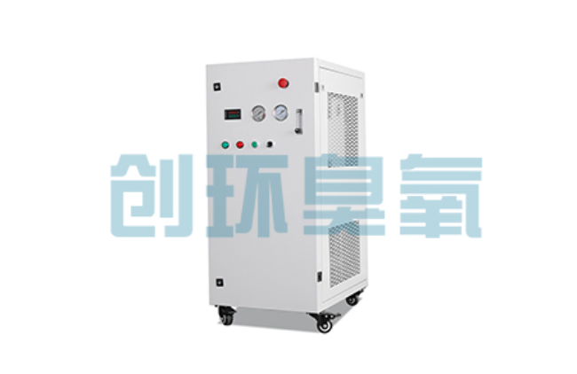 云南比传统换水更高效?臭氧发生器在石斑鱼养殖中的水质净化原理解析