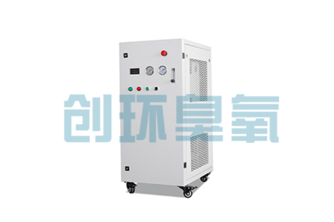 云南比传统换水更高效？臭氧发生器在石斑鱼养殖中的水质净化原理解析